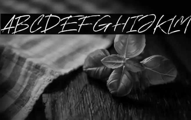 Ranget Font examples