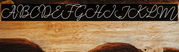 RanggaScript Example 3