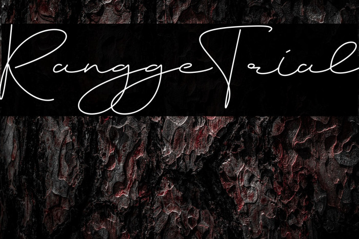 Rangge Trial Example 3