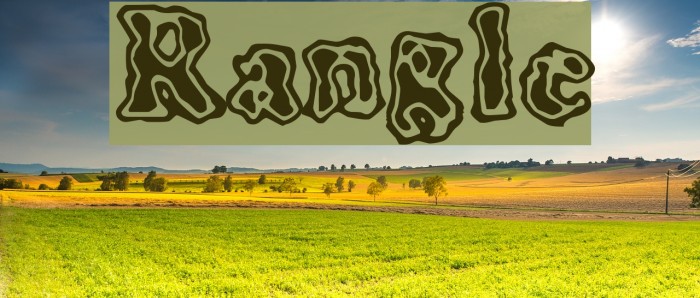 Rangle Font examples