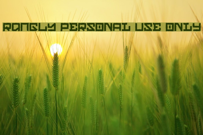Rangly PERSONAL USE ONLY Font examples