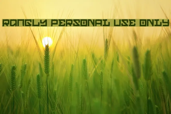 Rangly PERSONAL USE ONLY Example 2