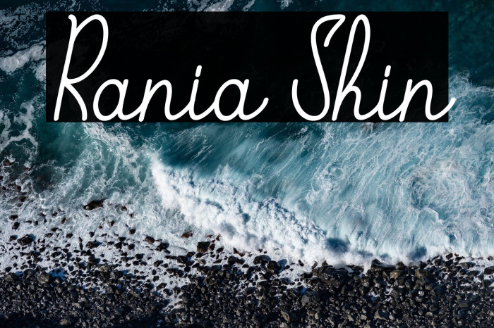 Rania Shin Example 2
