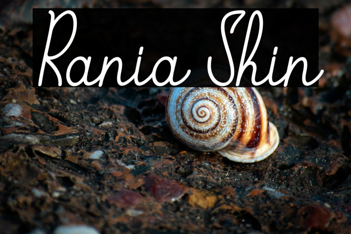 Rania Shin Example 3