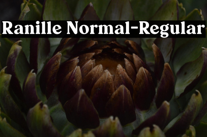 Ranille Normal-Regular Example 1