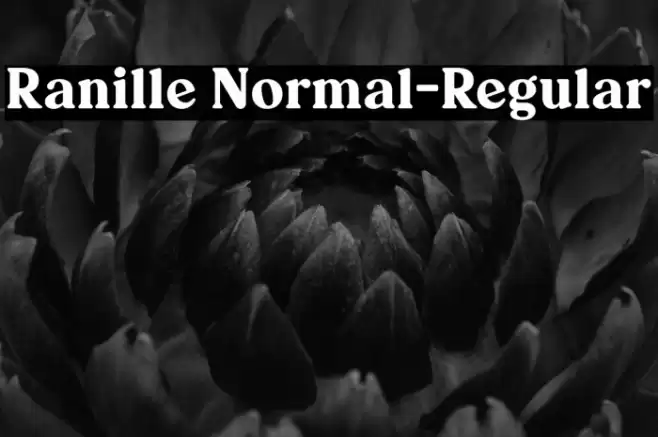 Ranille Normal-Regular Font examples