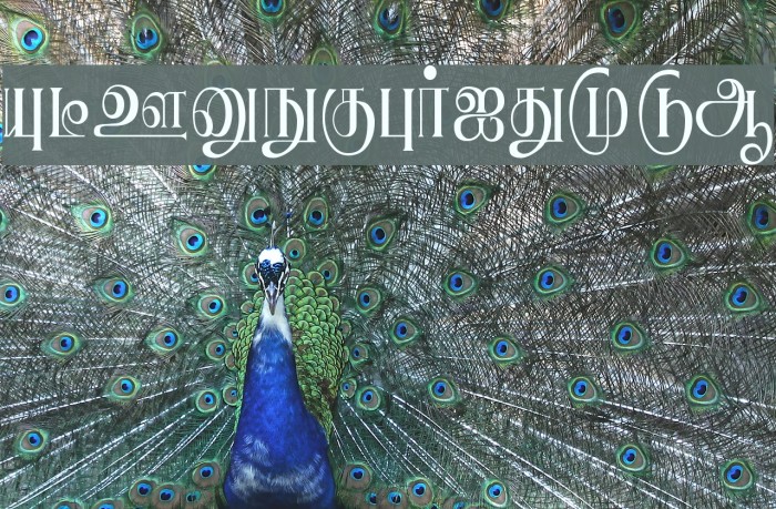Ranjani Plain Font examples