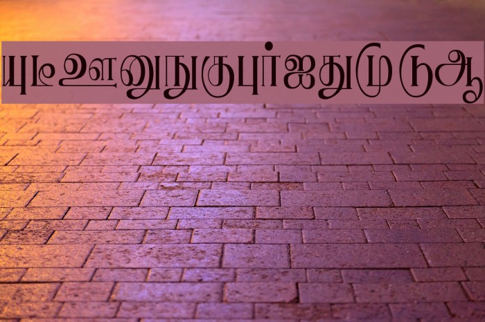 Ranjani Plain Font examples