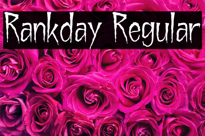 Rankday Regular Example 3