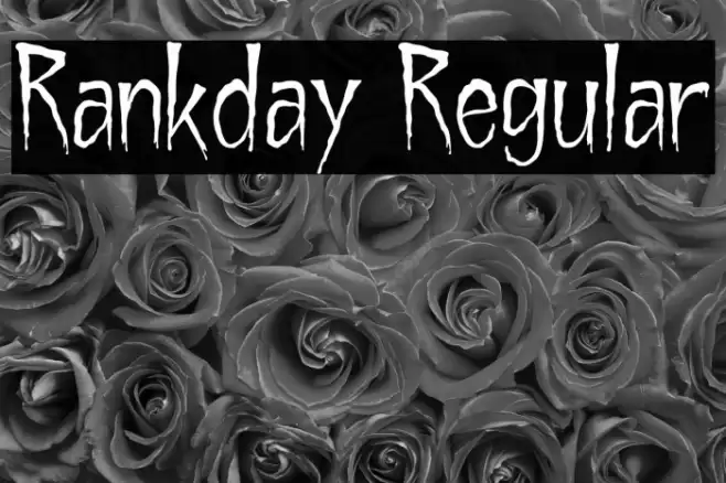 Rankday Regular Font examples