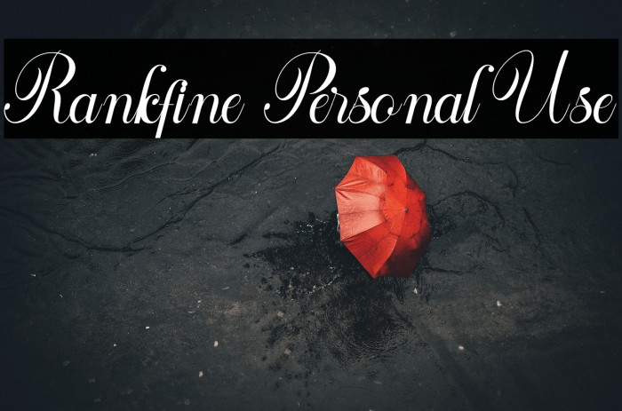 Rankfine Personal Use Example 1