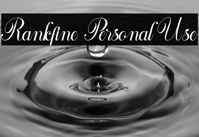 Rankfine Personal Use Example 3