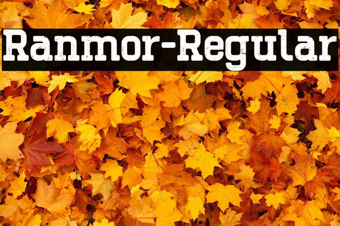 Ranmor-Regular Example 2