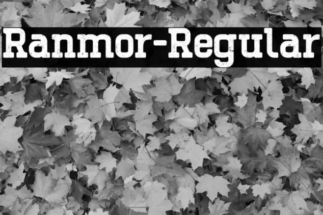 Ranmor-Regular Caratteri examples