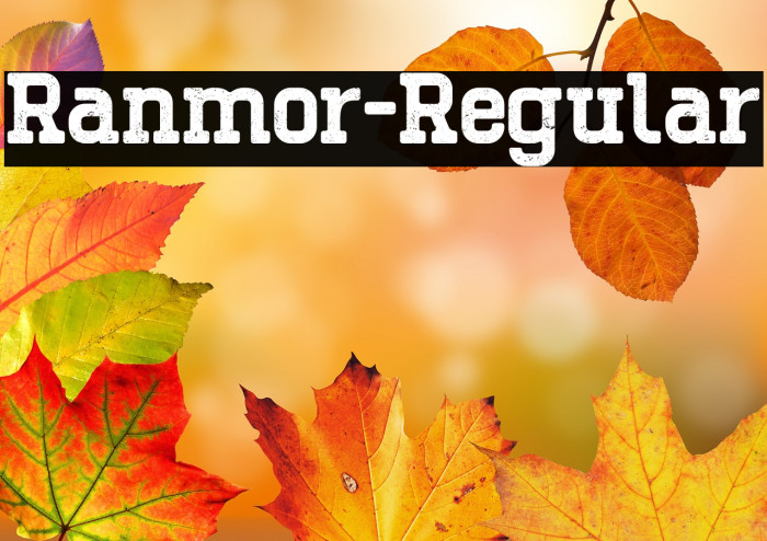 Ranmor-Regular Example 3