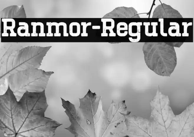 Ranmor-Regular Caratteri examples