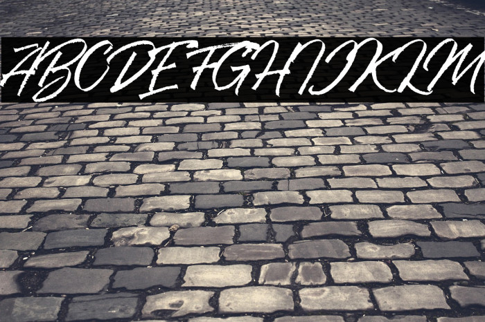 RanshellDEMO Example 1