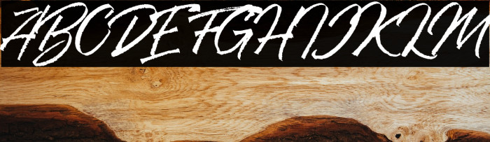 RanshellDEMO Example 2