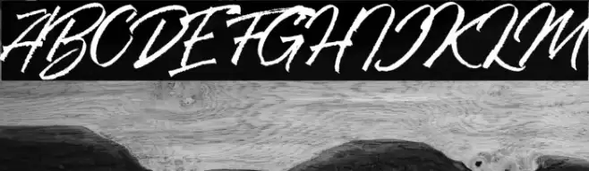 RanshellDEMO Font examples