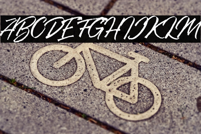 RanshellDEMO Example 3