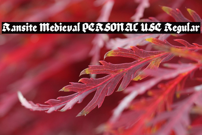 Ransite Medieval PERSONAL USE Regular Example 1