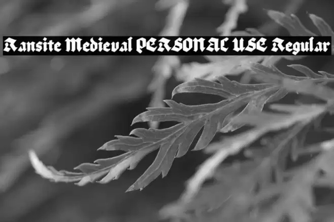 Ransite Medieval PERSONAL USE Regular Font examples