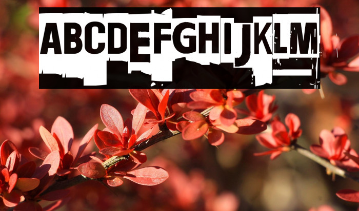 Ransom Blanco Zero Example 3