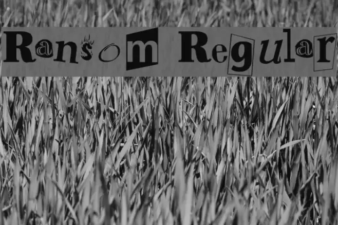 Ransom Regular Font examples