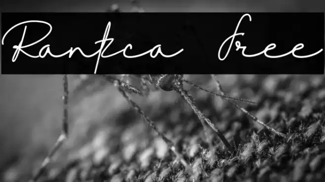 Rantca - Free Font examples