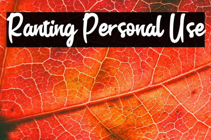 Ranting Personal Use Example 1