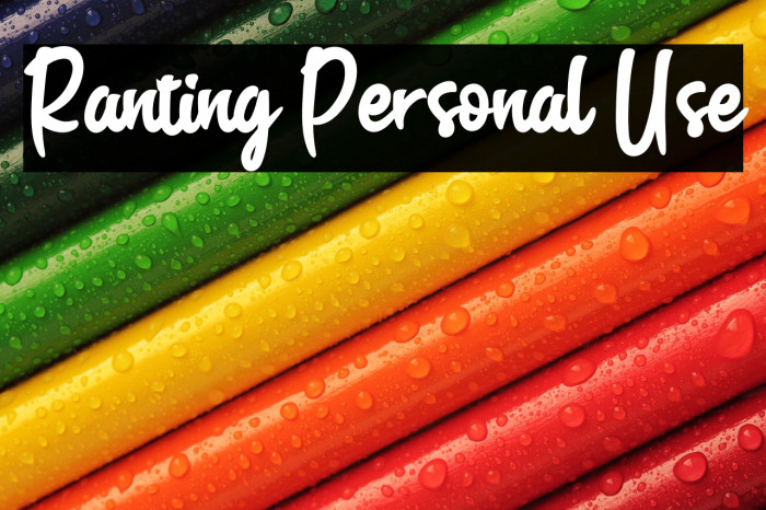 Ranting Personal Use Example 2