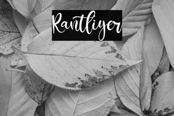 Rantliyer Font examples