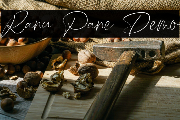 Ranu Pane Demo Example 2