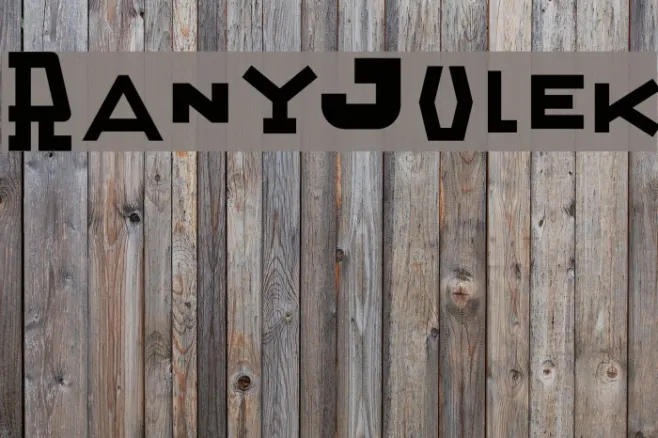 RanyJulek Example 1
