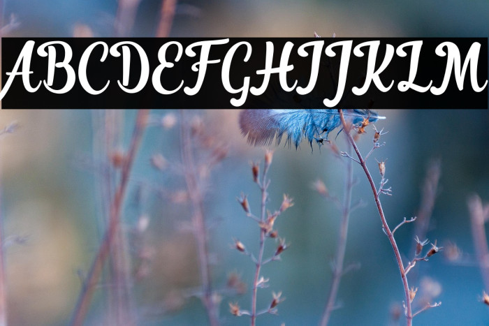 RanykinayaScript Example 3