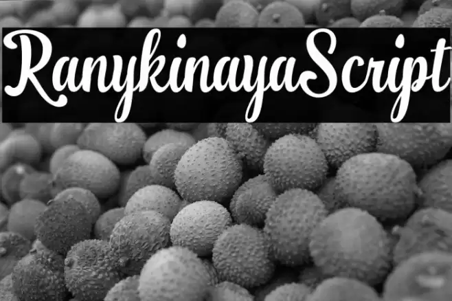 RanykinayaScript Font examples