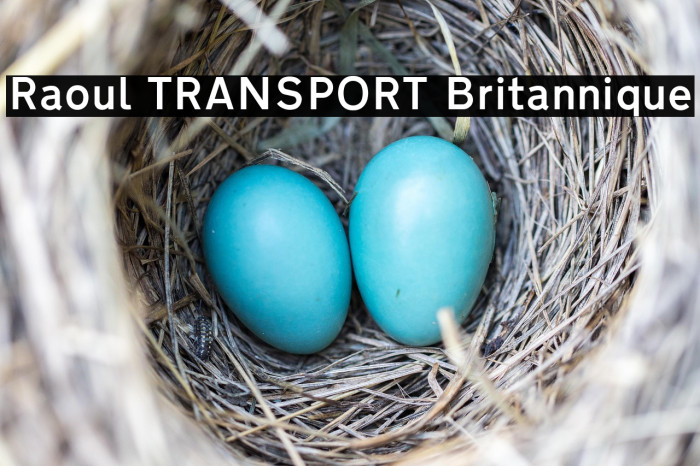 Raoul TRANSPORT Britannique Example 1