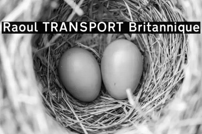 Raoul TRANSPORT Britannique Font examples