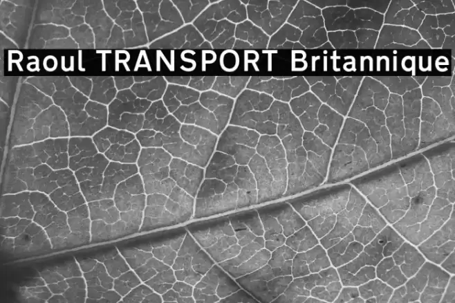 Raoul TRANSPORT Britannique Font examples