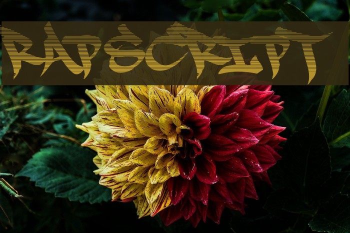 RapScript Font examples