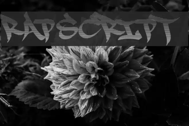 RapScript Font examples
