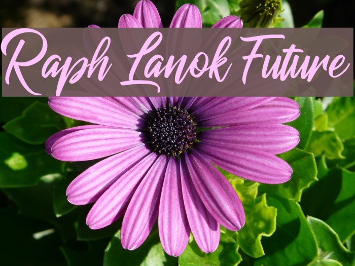 Raph Lanok Future Font examples