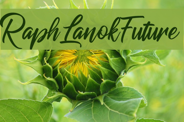 RaphLanokFuture Font examples