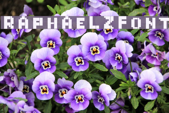 RaphaelZfont Font examples