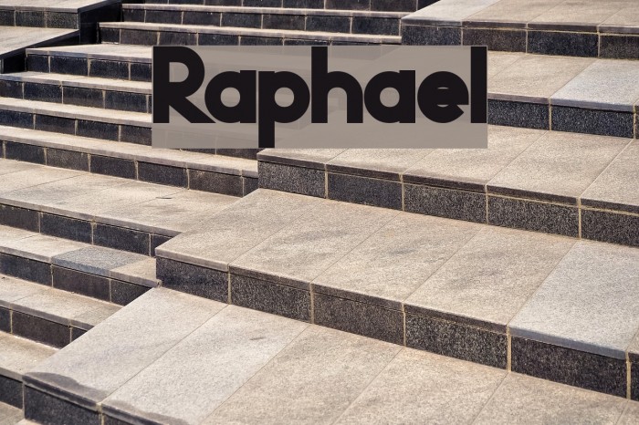 Raphael Font examples