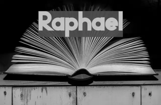 Raphael Font examples