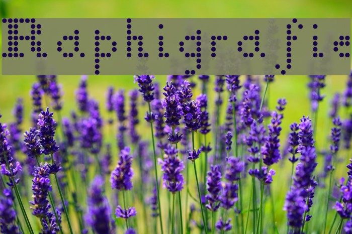 Raphigrafie Font examples