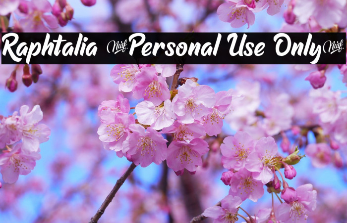 Raphtalia (Personal Use Only) Example 1