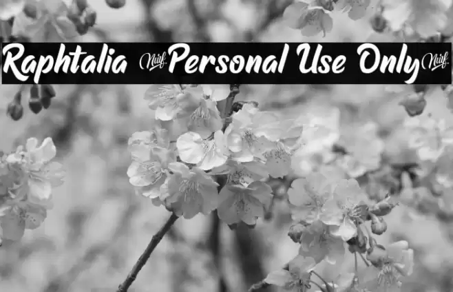 Raphtalia (Personal Use Only) Font examples