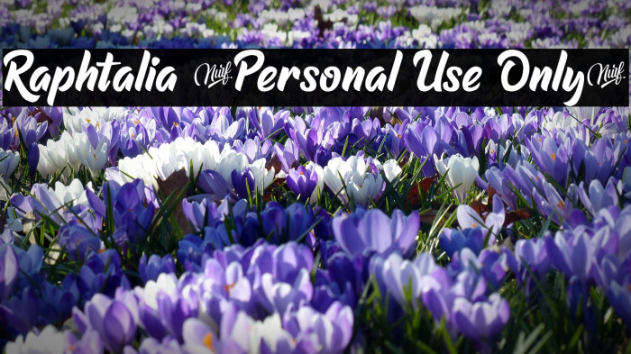 Raphtalia (Personal Use Only) Example 2